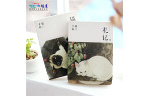 實拍筆記本UV噴印